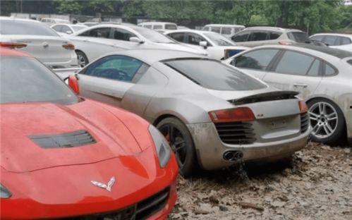 二代玛莎爆料视频在线观看,揭秘家族内幕与真实生活